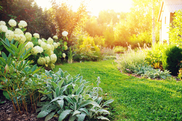 Création de jardin