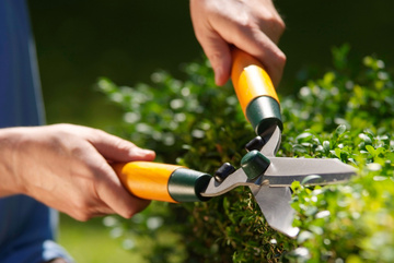 entretien de jardin Sucé-sur-Erdre